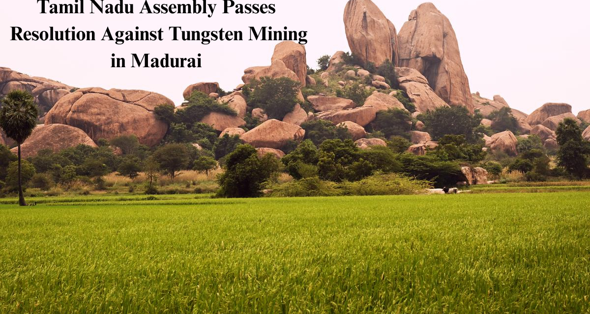 Tamil Nadu Assembly Passes Resolution Against Tungsten Mining in Madurai