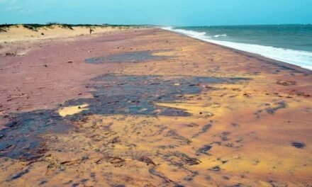 Centre Reserves Kanyakumari Area for Beach Sand Mineral Mining