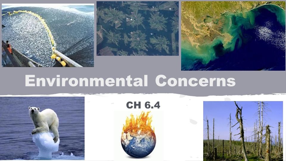 Environmental Concerns Arise Over Beach Sand Mining in Tamil Nadu