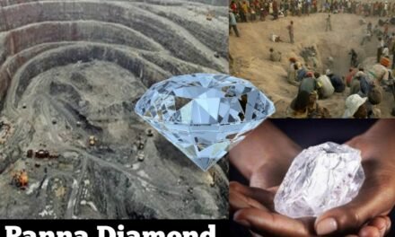 India’s NMDC Resumes Diamond Mining Near Panna Tiger Reserve