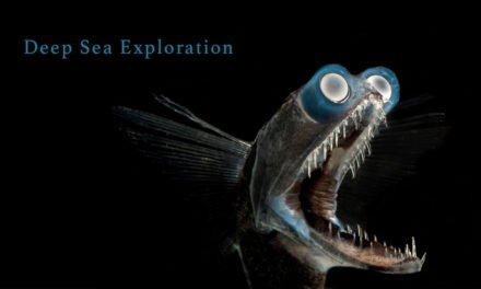 India a Pioneer in Technology for Deep-Sea Exploration