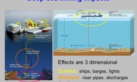 Deep-Sea Mining and Its Environmental Impact