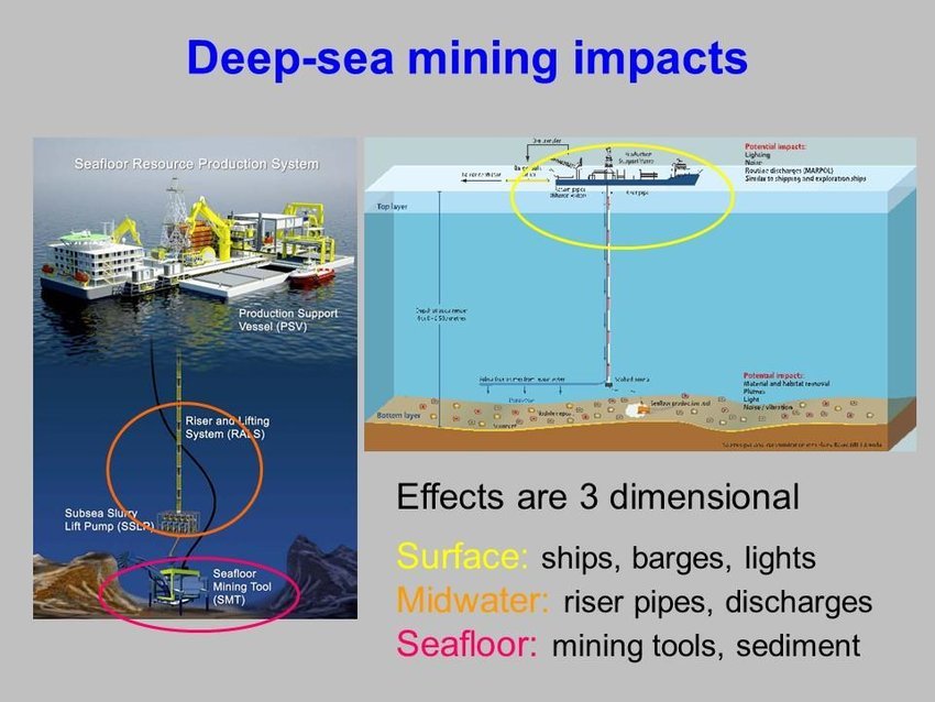  Deep-Sea Mining and Its Environmental Impact