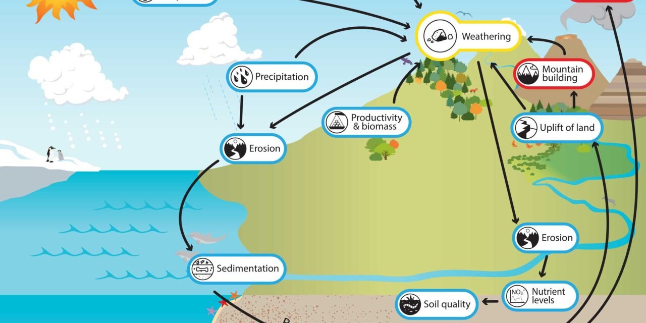 How does weathering contribute to the formation of economically significant oxide mineral deposits?