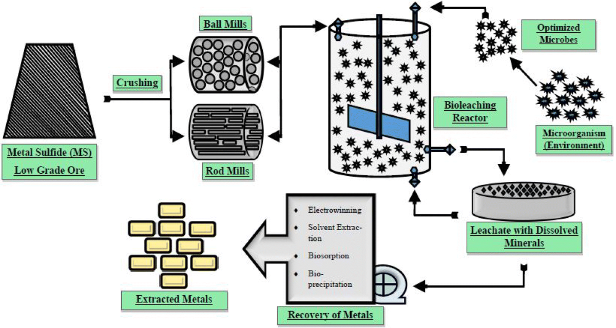  How do bioleaching and hydrometallurgical techniques enhance the extraction of metals from sulfide ores?