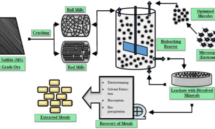 How do bioleaching and hydrometallurgical techniques enhance the extraction of metals from sulfide ores?