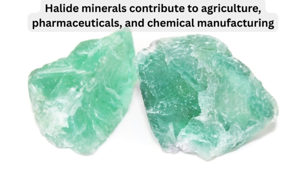 How do halide minerals contribute to industries such as agriculture (fertilizers), pharmaceuticals, and chemical manufacturing?