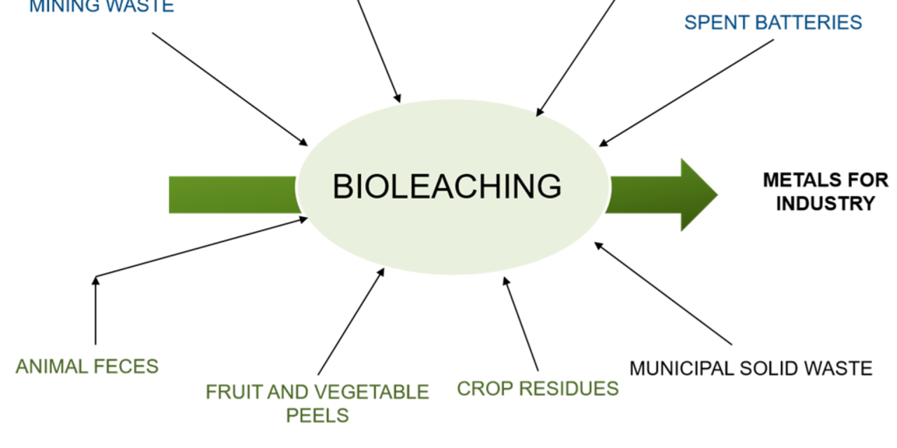 How do organic minerals interact with flotation, leaching, and bioleaching processes in mineral processing?