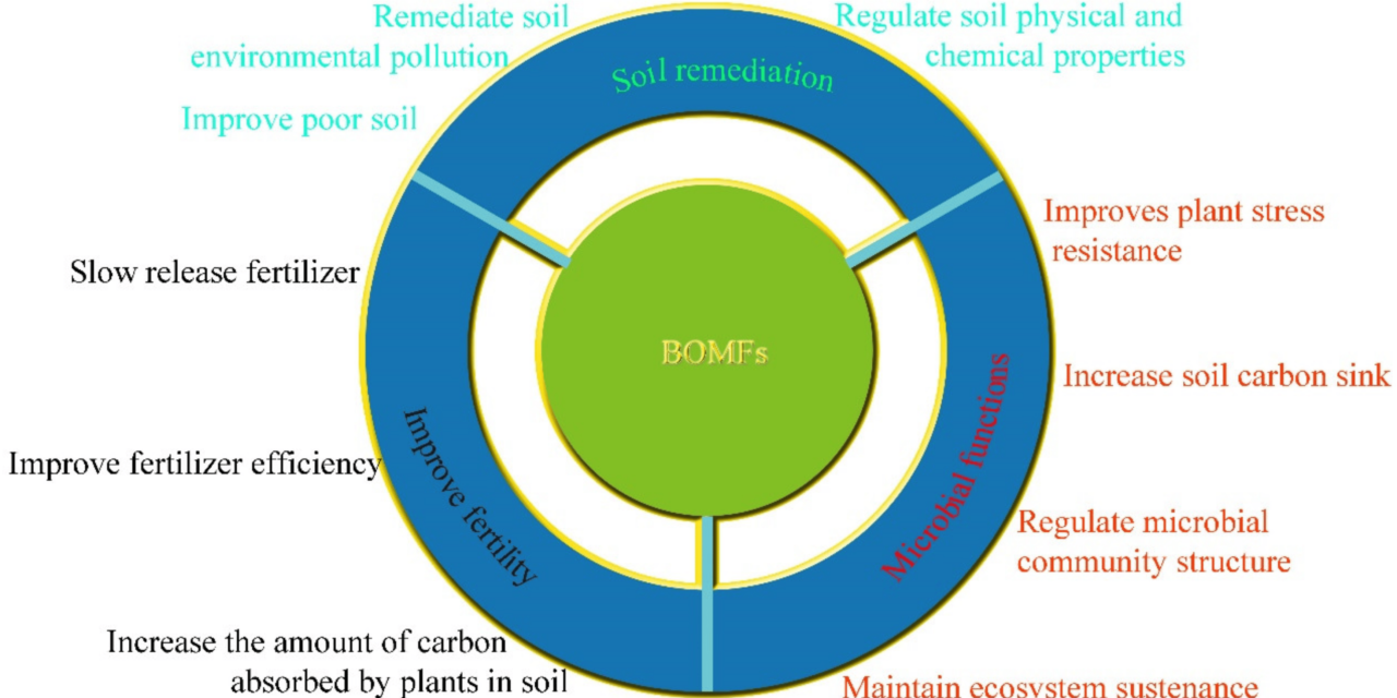 What is the future role of organic minerals in green energy, carbon sequestration, and environmental remediation?