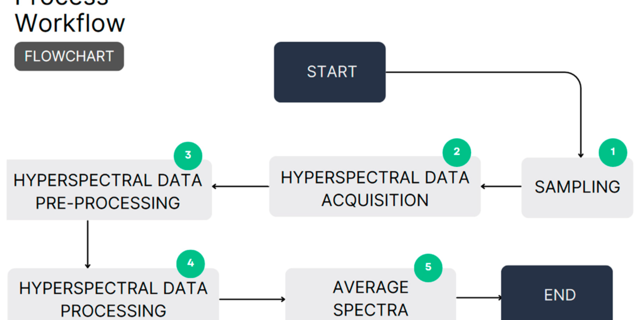 What are the major steps in the mineral processing workflow?