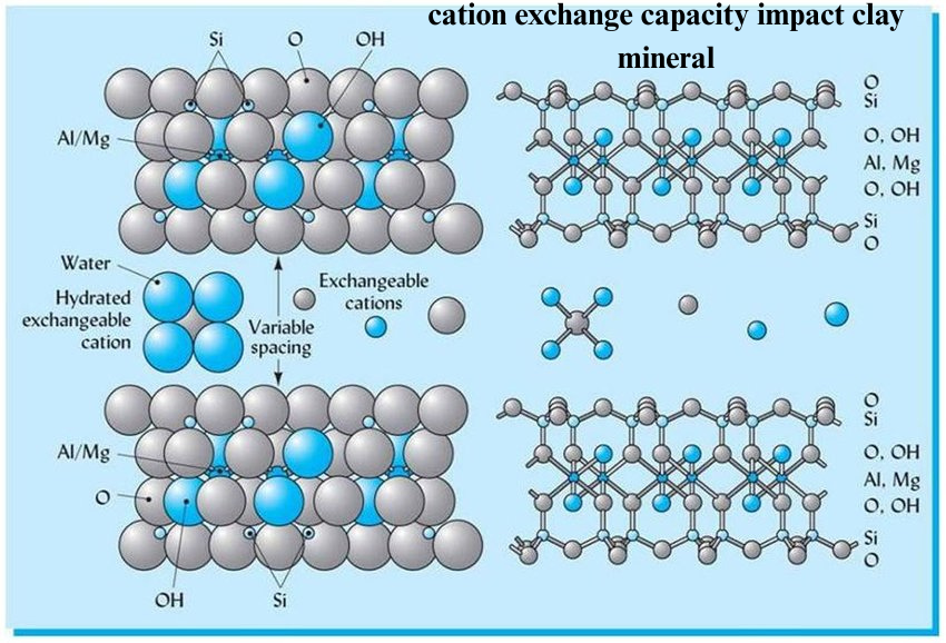 How do properties such as particle size, plasticity, and cation exchange capacity impact clay mineral processing?